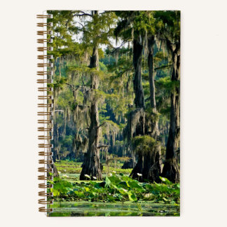 Livre croquis Cypress - 001