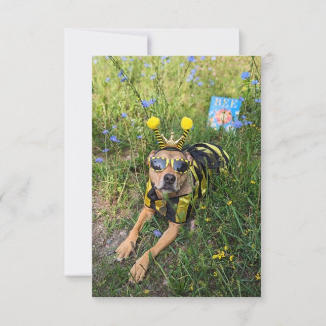 Livre de costume d'abeille Funny Chien Carte photo (Devant)