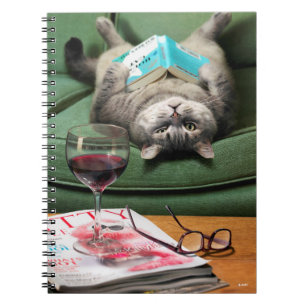 Livre de lecture de chats en haut