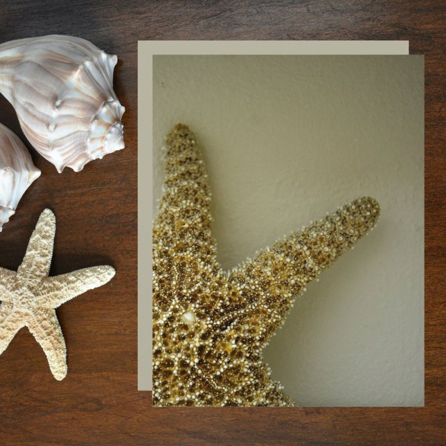 Livre de papier à scandale naturel de Starfish Coa (Créateur téléchargé)