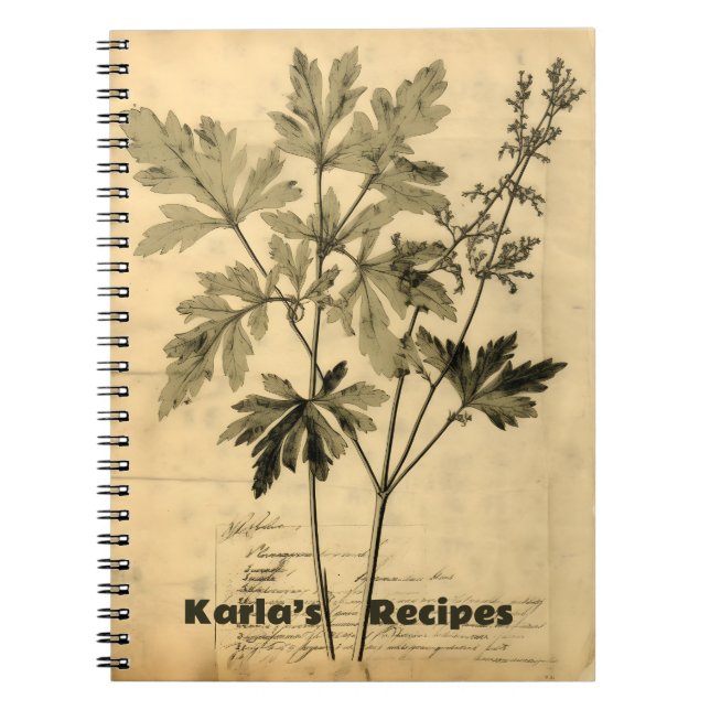 Livre de recettes Vintage victorien (Devant)