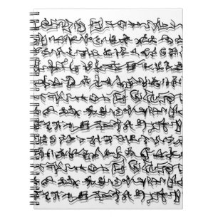 Livre d'écriture ancienne