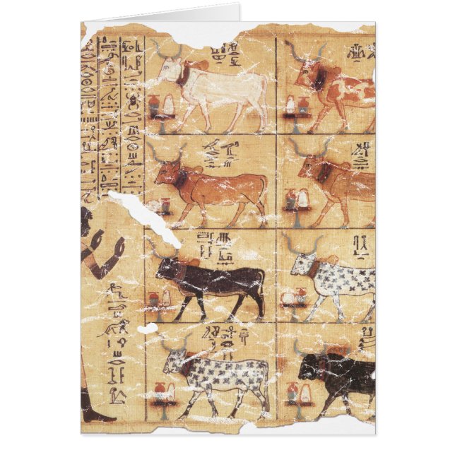 Livre des Morts-Maiherperi-1479bc (Devant)