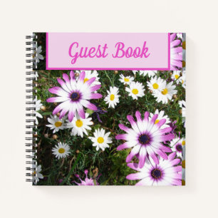 Livre d'hôtes Daisy Purple Pink Flower
