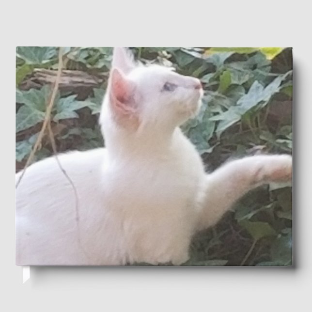 livre d'invités whitecat (Recto)