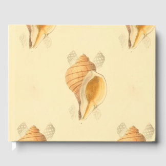 Livre D'or architecture de plage de shell