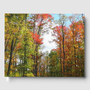 Livre D'or Automnes Arbres et Ciel bleu Automne Photographie 