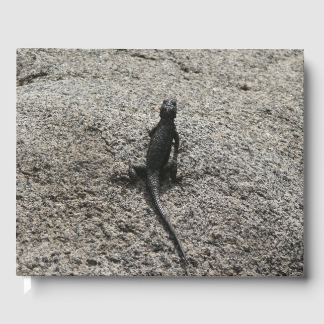 Livre D'or Black Lizard (Recto)