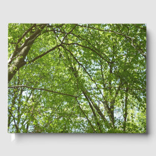 Livre D'or Canopée du printemps Feuille Green Nature Scene