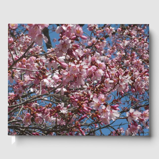 Livre D'or Cherry Blossoms et Blue Sky Spring Floral (Recto)