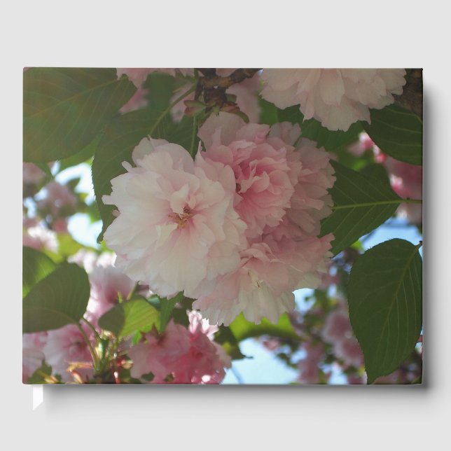 Livre D'or Cherry Tree I Spring Floral (Recto)