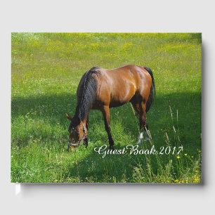 Livre D'or Cheval n° 1