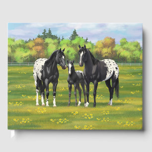 Livre D'or Chevaux Appaloosa Noir Dans Les Pâturages D'Été