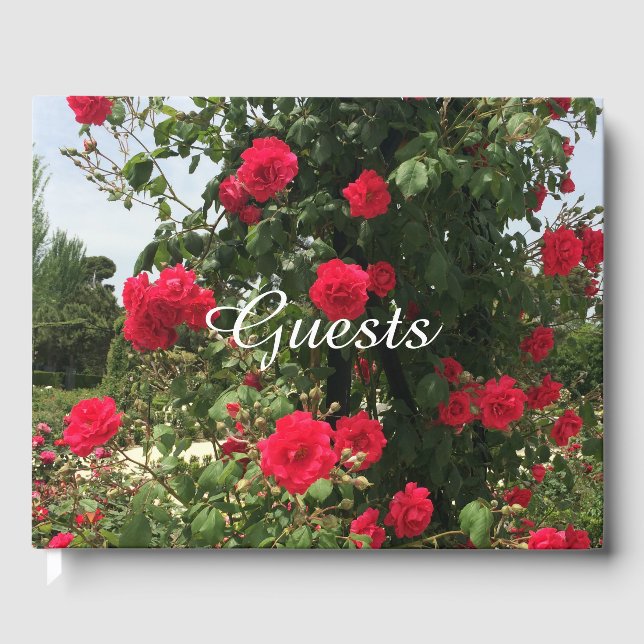 Livre D'or Elégante Escalade Roses rouges (Recto)