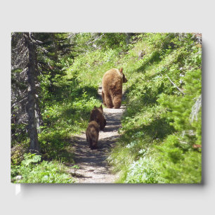 Livre D'or Famille d'ours Brown