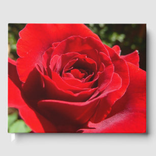 Livre D'or Fleur rose rouge vif Belle florale