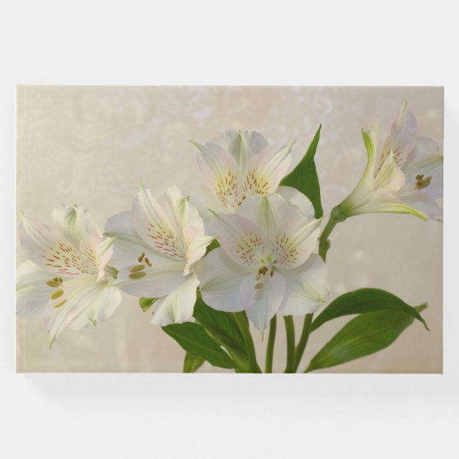 Livre D'or Fleurs d'Alstromeria Blanche (Devant)