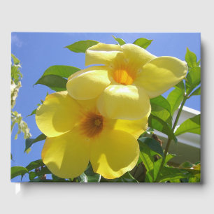 Livre D'or Golden Trumpet