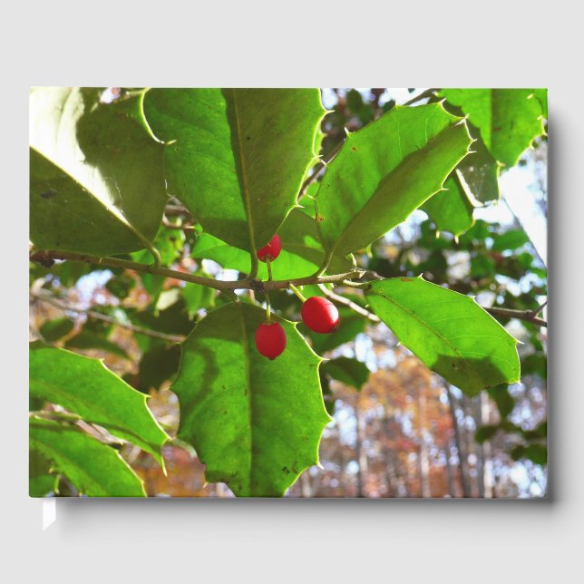 Livre D'or Holly Feuilles II Vacances Nature Botanique (Recto)