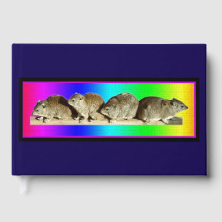 Livre D'or Hyrax africain froid