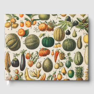 Livre D'or Illustration scientifique végétale des fruits