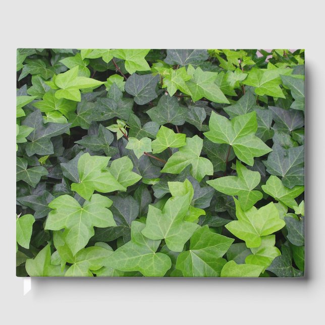 Livre D'or Impression botanique verte Ivy (Recto)