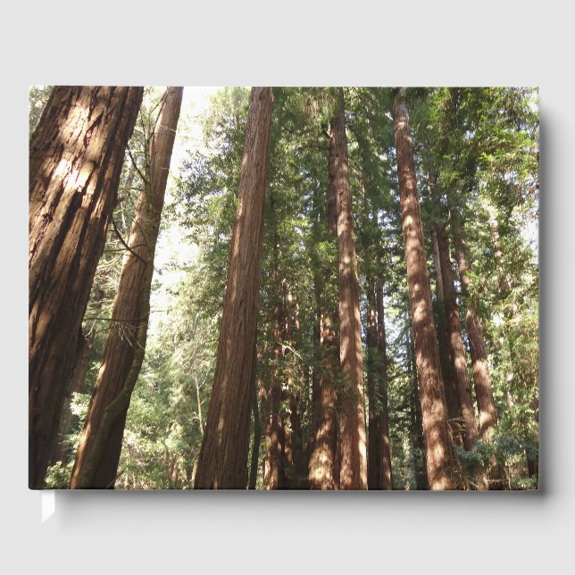 Livre D'or Jusqu'à Redwoods II au monument national de Muir W (Recto)