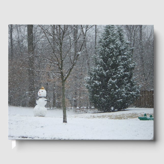 Livre D'or La scène de neige hivernale du voisin (Recto)