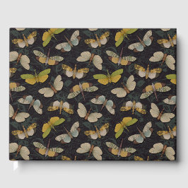 Livre D'or Lanternflies - Pyrops Candelaria & Planthoppers