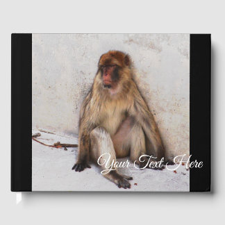Livre D'or Lazy Monkey