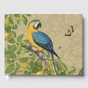 Livre D'or Macaw Blue Jaune Tropical Jungle Antique