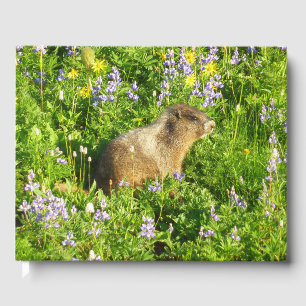 Livre D'or Marmot dans le Mont Rainier Fleurs sauvages