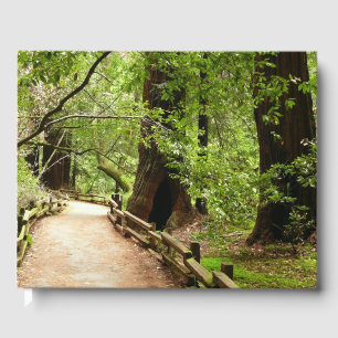Livre D'or Muir Woods Path II Nature Photography