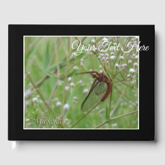 Livre D'or Muskoka Shadfly (Fleur blanche)