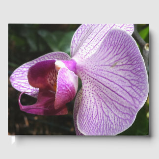 Livre D'or Orchid : Mind Edition