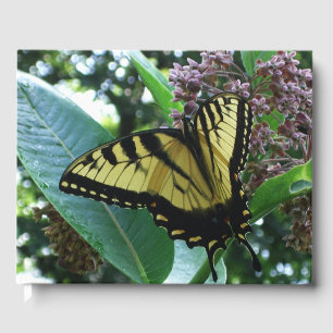 Livre D'or Papillon Swallowtail I sur Milkweed à Shenandoah