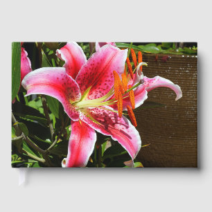Livre D'or Photographie de Stargazer Lily