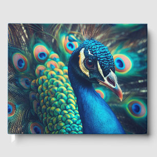 Livre D'or Profil Peacock