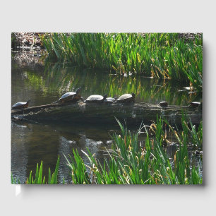 Livre D'or Rangée de tortues Green Nature Photo