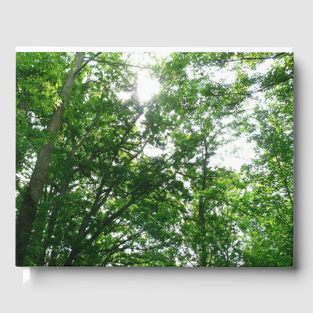 Livre D'or Regard sur les arbres d'été (Recto)