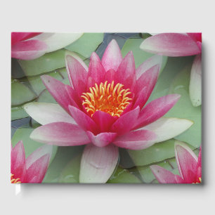Livre D'or Rose Lotus Water Lily