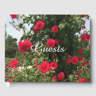 Livre D'or Roses Rouges Élégantes Grimpantes