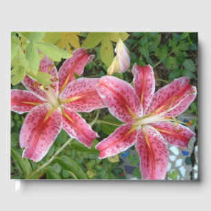 Livre D'or Stargazer Lilies Jardin Floral