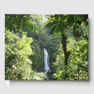 Livre D'or Trafalgar Falls Tropical Rainforest Photographie