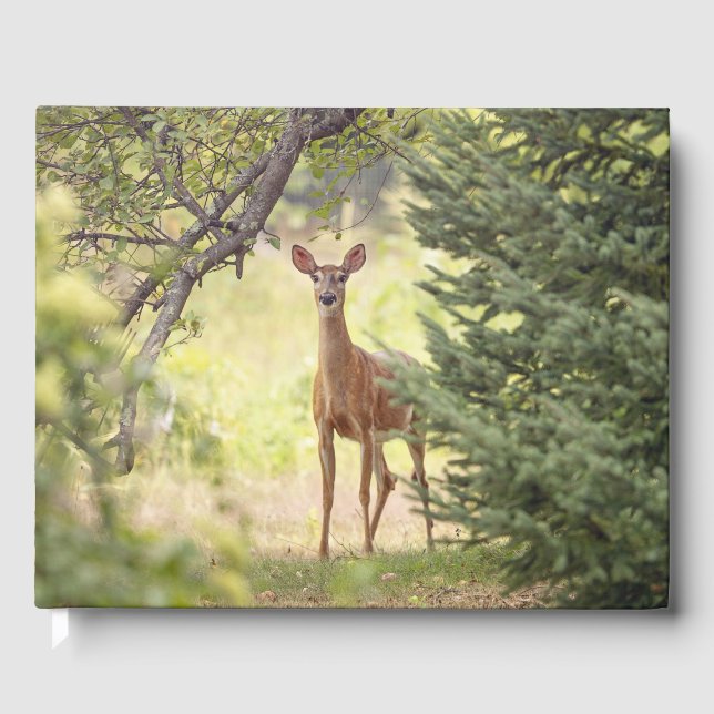 Livre D'or Un Cerf Lone Nom personnel et date (Recto)