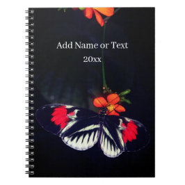 Livre photo Papillon