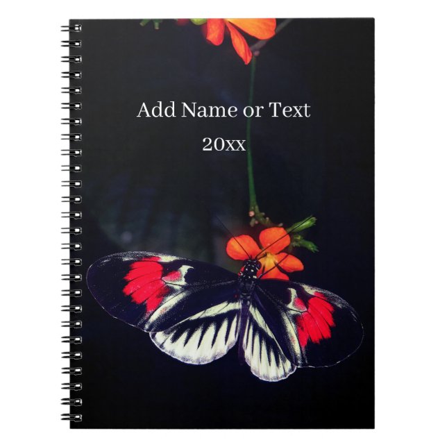 Livre photo Papillon (Devant)