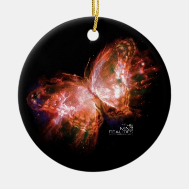 LIVRE UN DE RÉALITÉS DE MING : ORNEMENT DE (Devant)