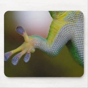 Lizard Arm Mousepad