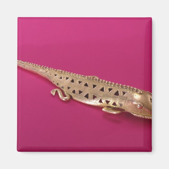 Lizard aus Kolumbien Magnet (Vorne)